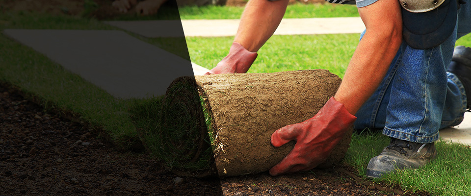 Danvers Landscapers